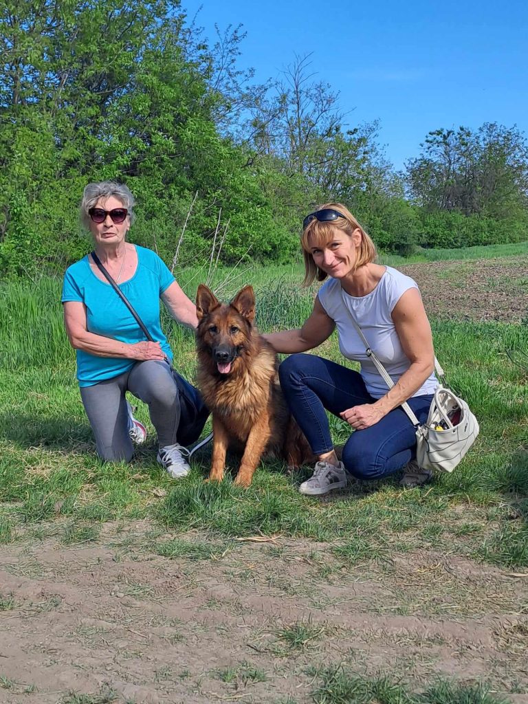 437870393_809391371215939_2722399395637857905_n