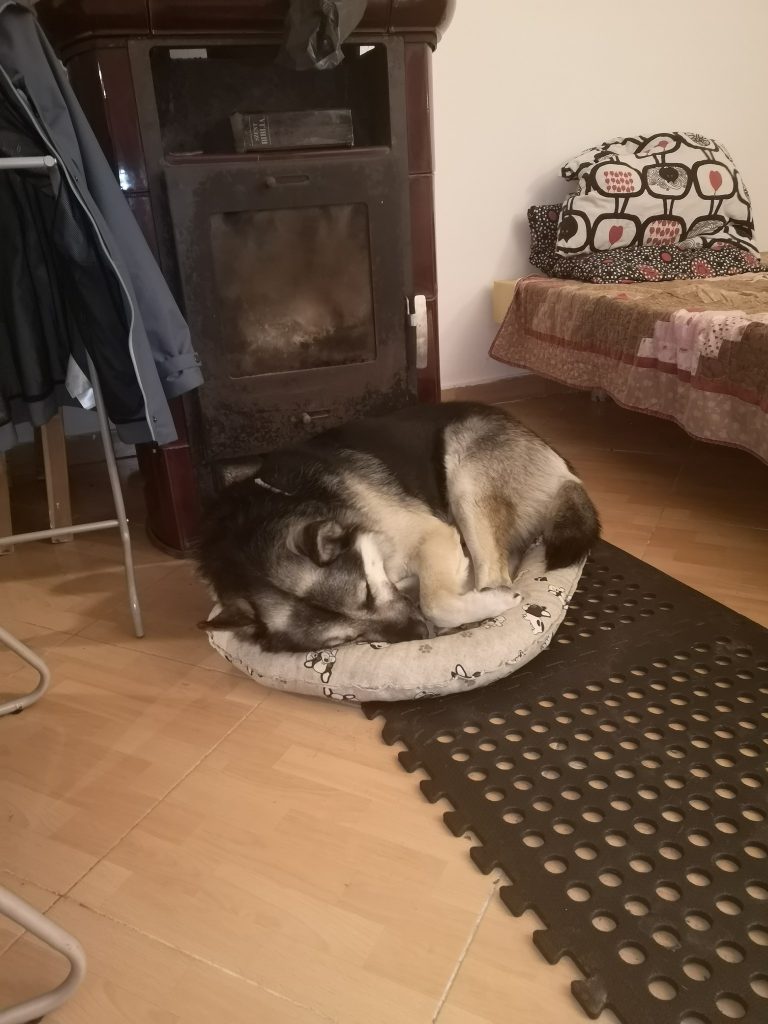 438721513_815531813935228_1685425571331332468_n