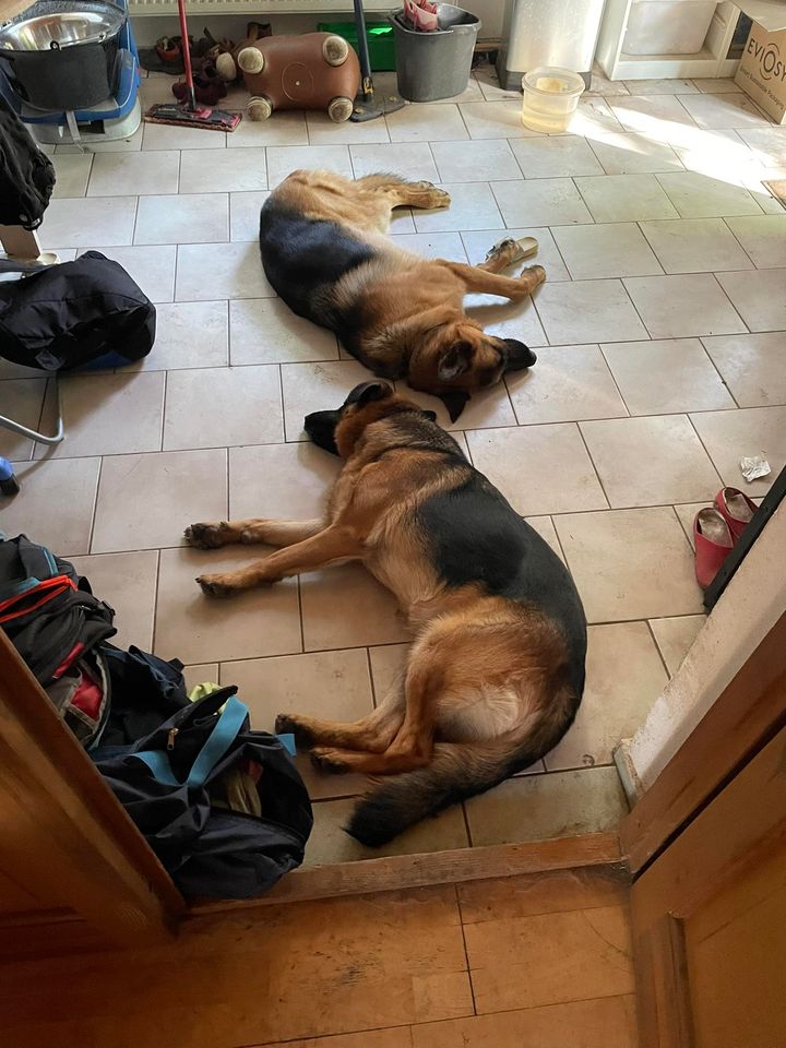 450461364_863583525796723_1080201141188604244_n