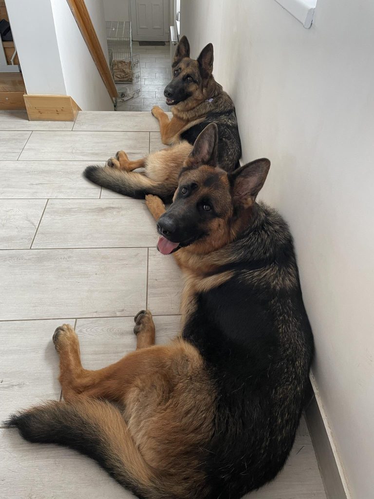 450534840_865186088969800_6104718751141904249_n